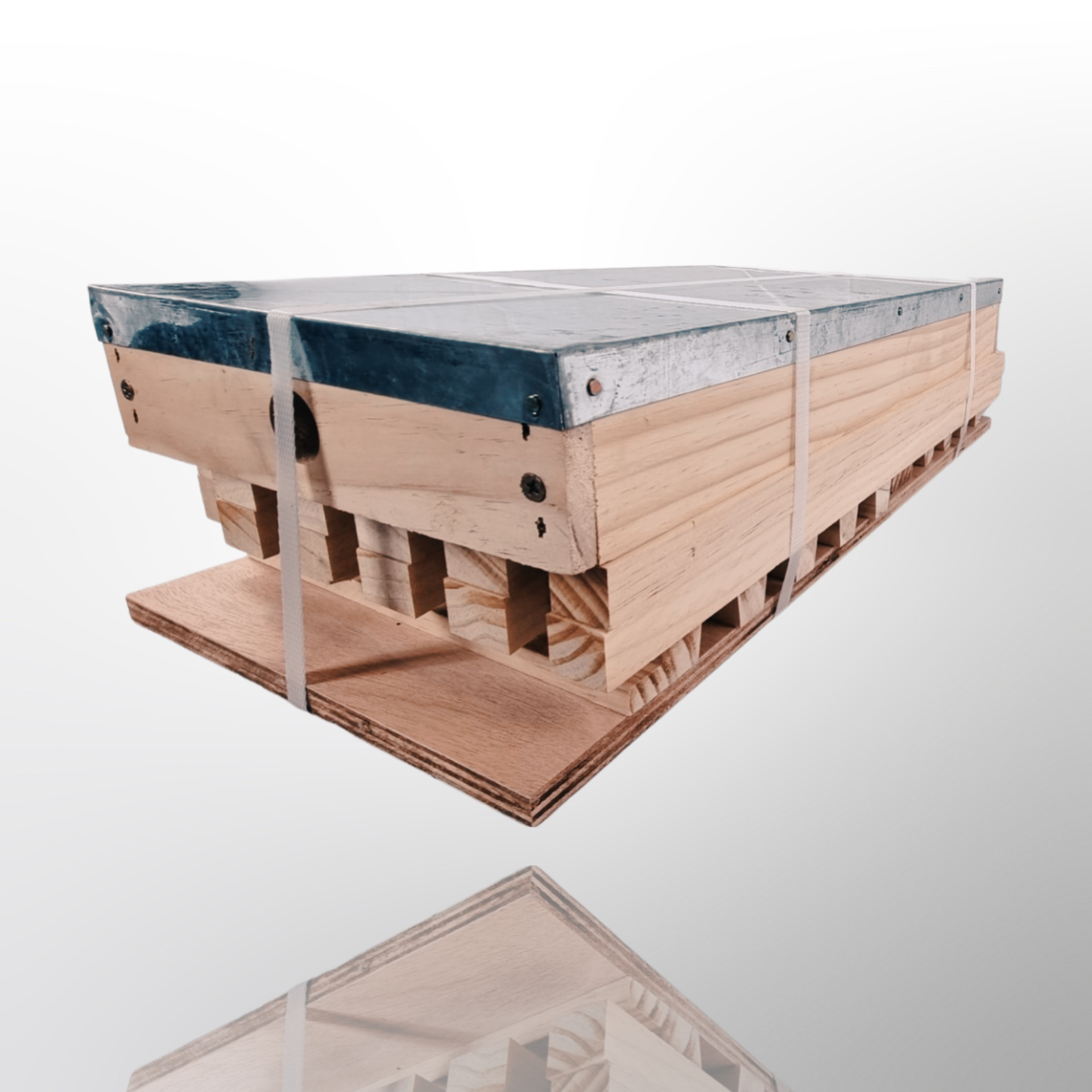 thumbnail image 2 of 1221 Apiary 5-Frame NUC Beehive Complete Starter Kit – Assembled 2 of 5