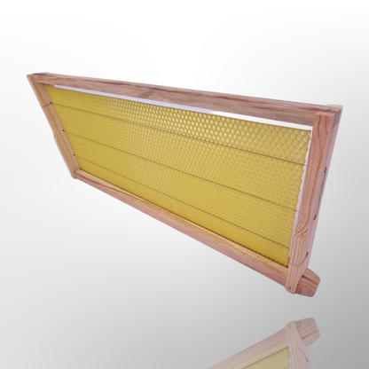 WSP Wooden Frame Assembled and Bees Wax Foundation